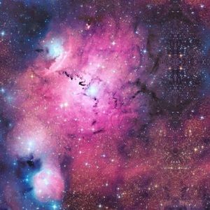 Meet your Posher, Suzanne